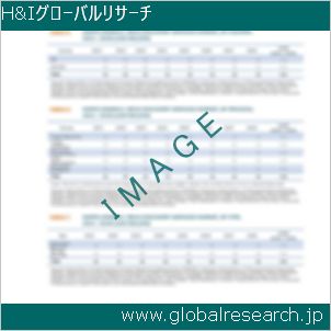 グローバルリサーチ調査レポートのイメージ